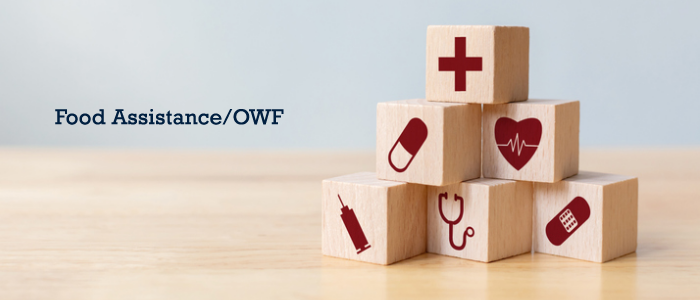 Wooden blocks with health care icons beside the words Food Assistance/OWF